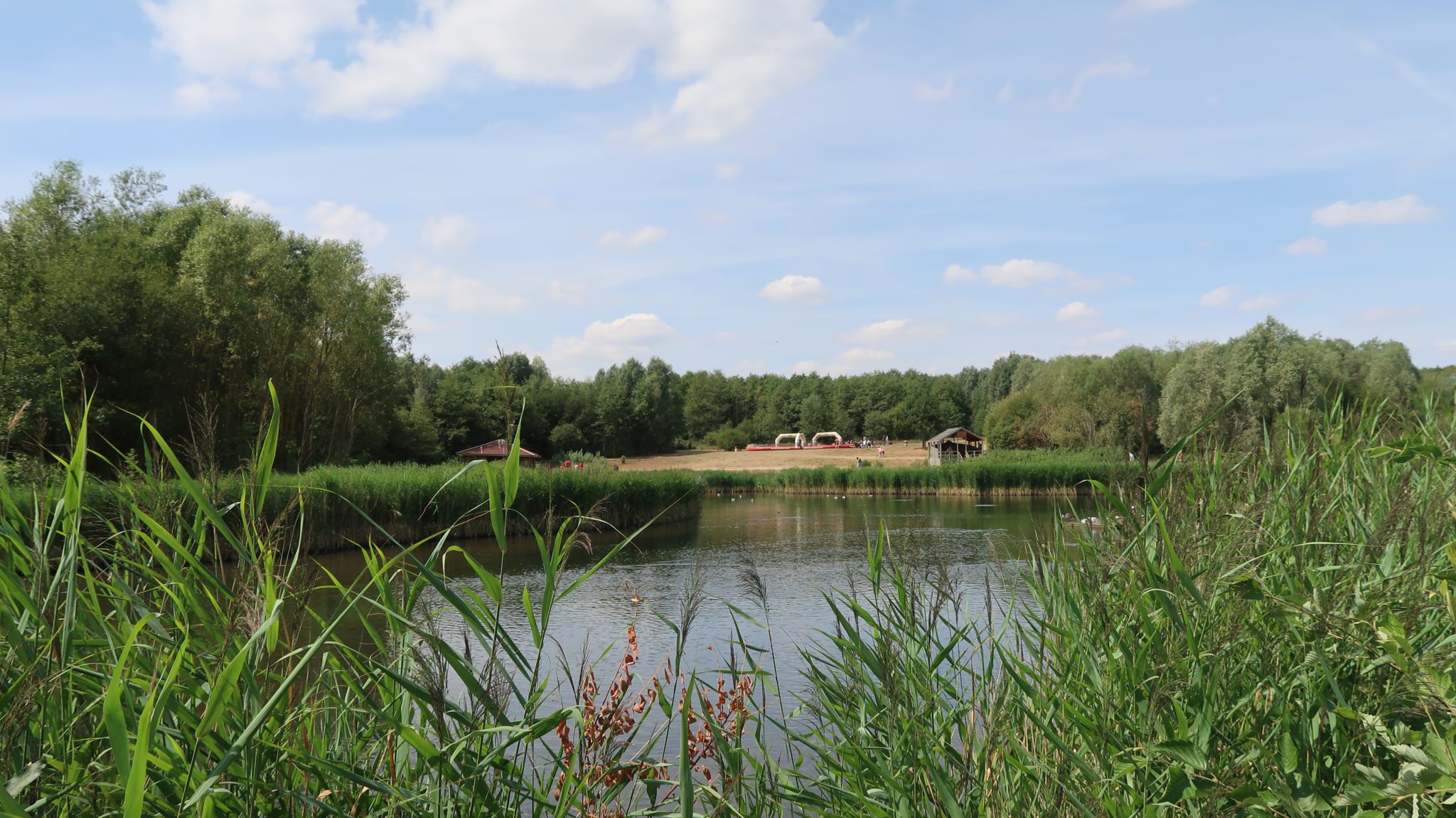 View of the lake at CONKERS - Conkers